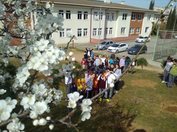 Okulumuz TEMA VAKFI etkinlikleri çerçevesinde daha önce öğrenciler ile toplanan meşe palamudu fidanları okulumuzun bahçesine dikildi.